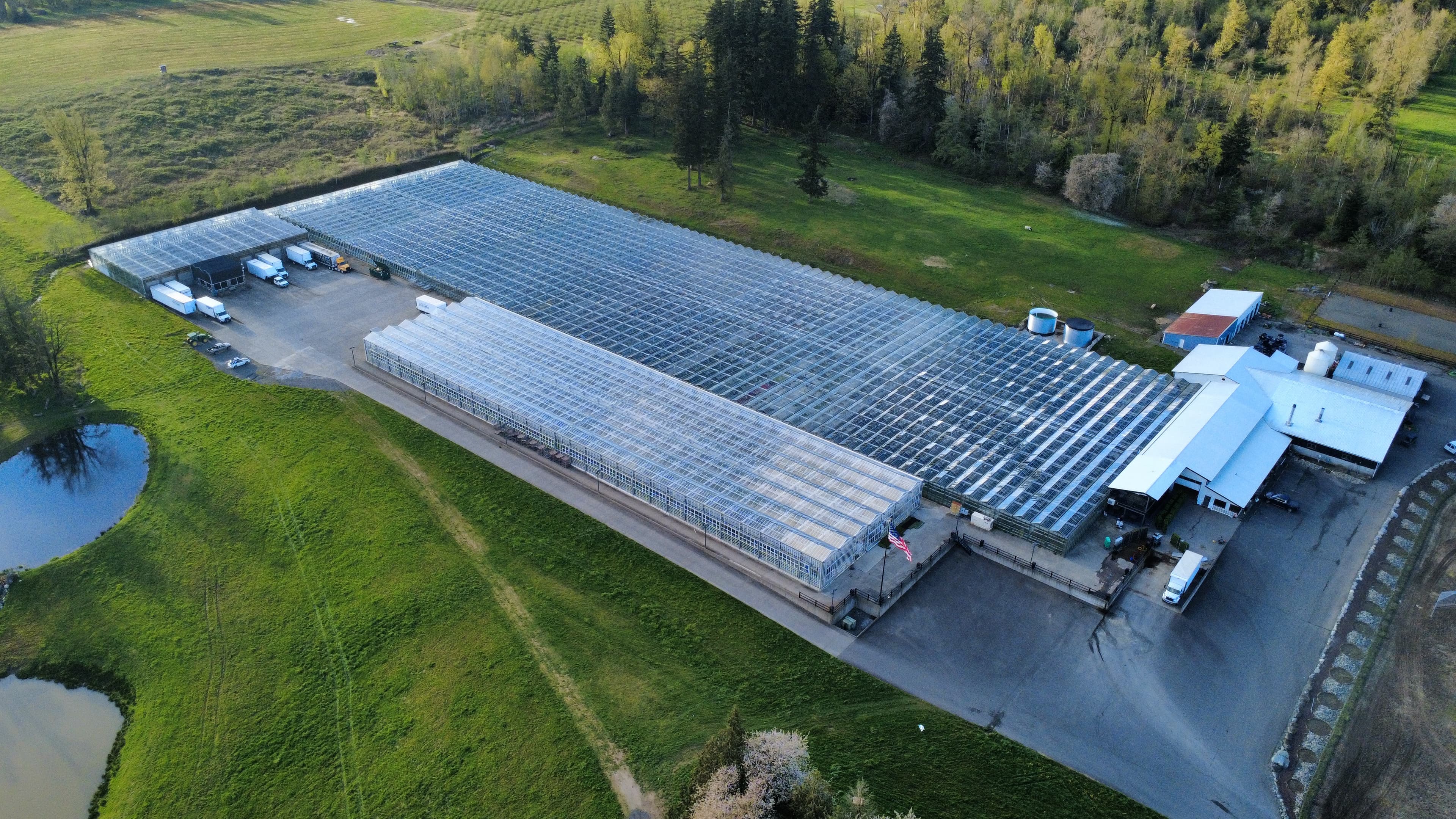 arial photo of Pacific Growers greenhouses