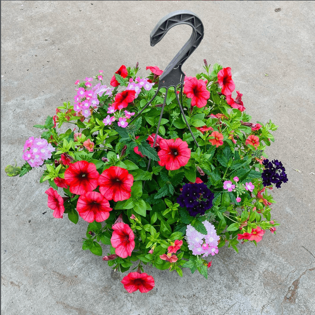 a flowery hanging basket